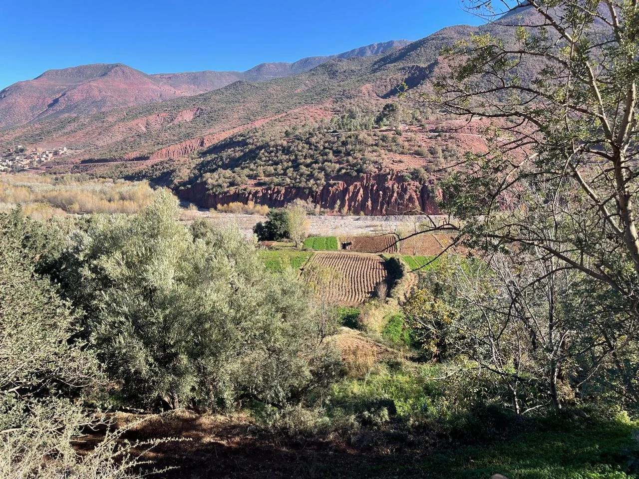 High Atlas scenery around Zat Valley