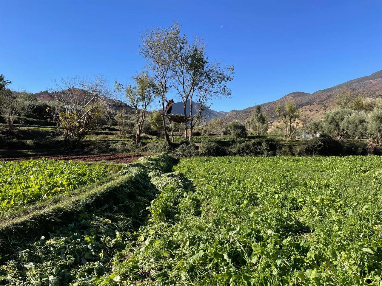 Zat Valley landscape and mountain scenery